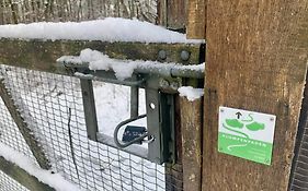 Veluwse Wolf: natuurlijk genieten!